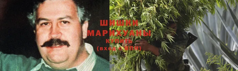 цены   Данилов  Шишки марихуана гибрид 